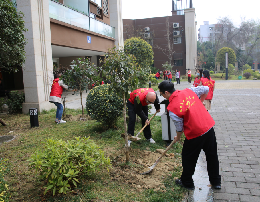 選用圖片2 選用圖片2